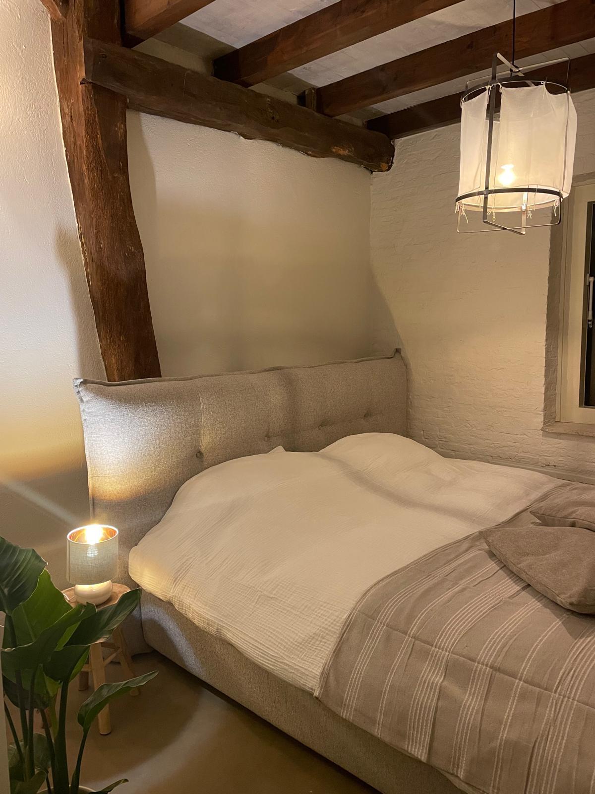Japandi Lounge bedroom