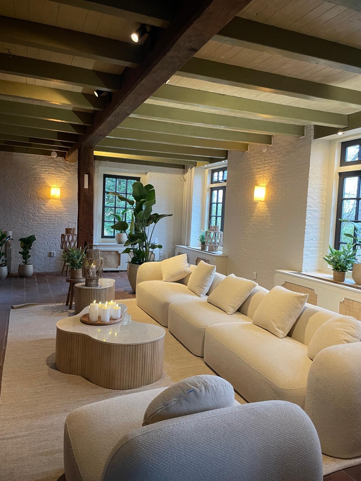 Japandi Lounge living room with fireplace