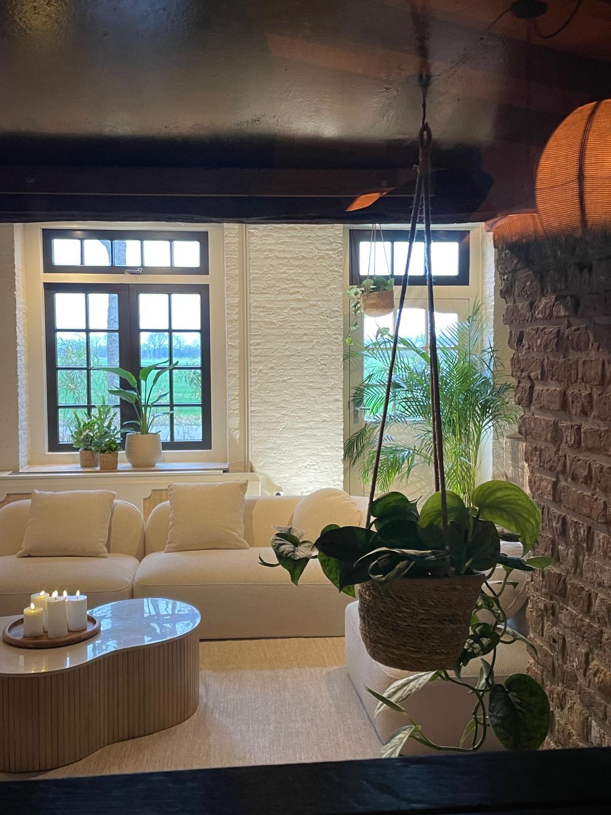 Japandi Lounge dining table for groups
