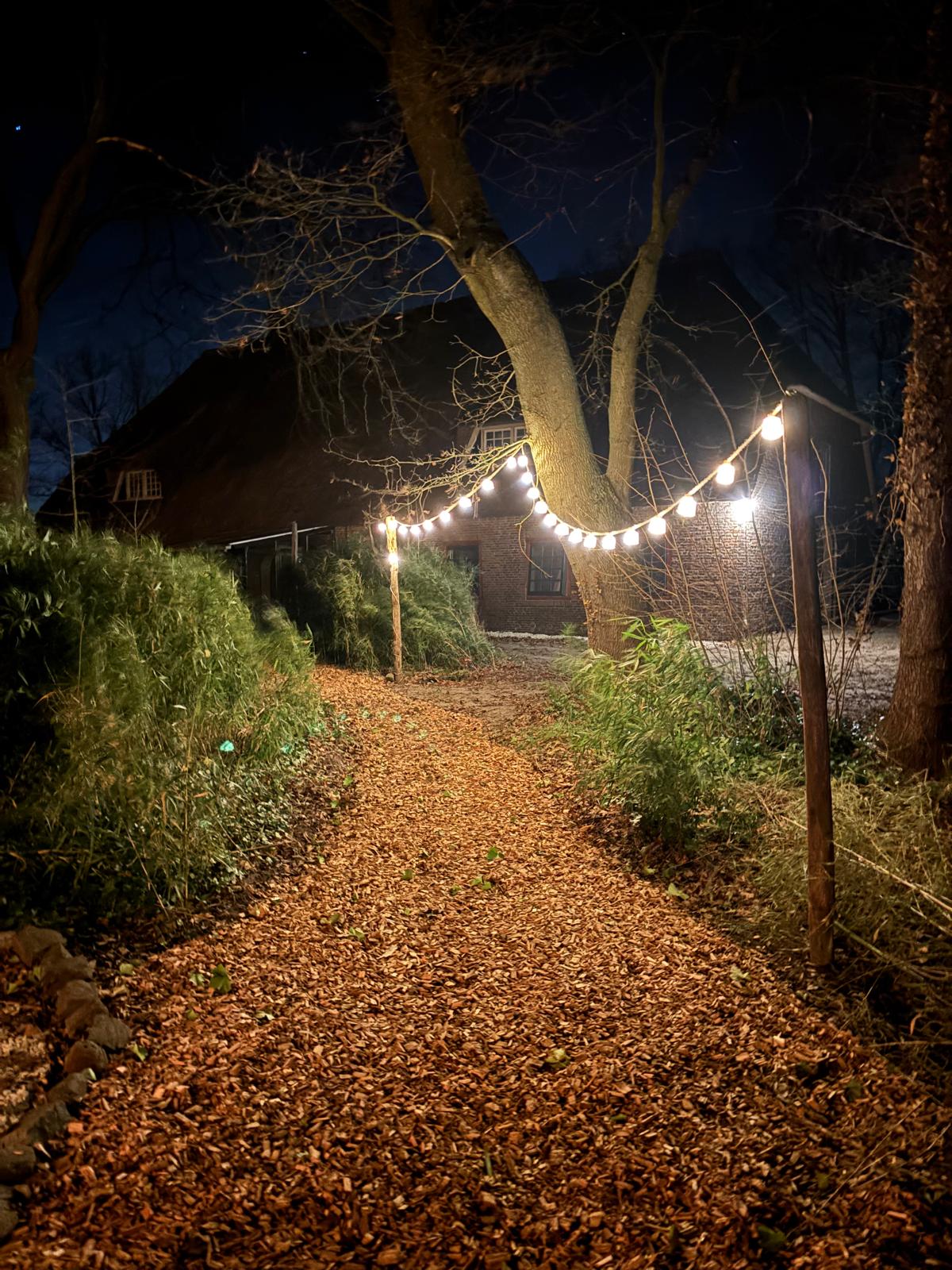 Japandi Lounge garden path
